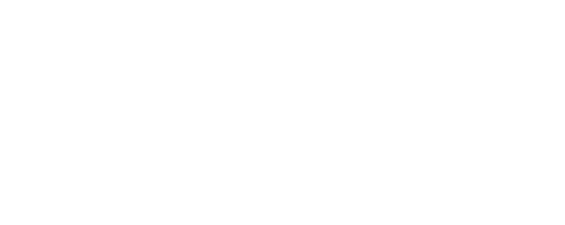 Northstar Footer Logo